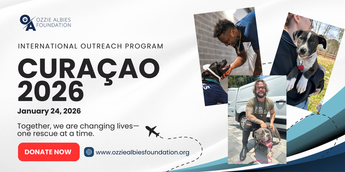 Ozzie Albies Foundation International Outreach Program: Curaçao 2026