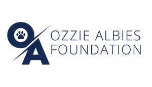 Ozzie Albies Foundation
