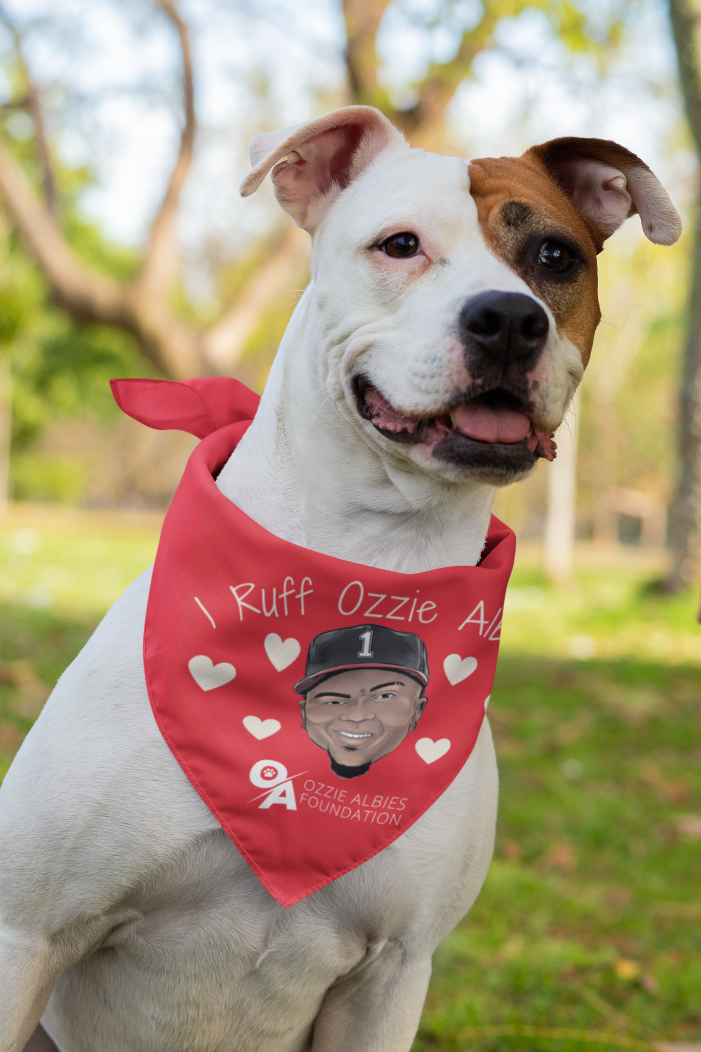 Pet Bandana Ozzie Albies Foundation